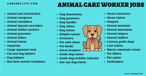 Duties involve evaluating injured <b>animals</b>, creating a treatment plan, tracking migration and overseeing the care and handling of the <b>animal</b> while in captivity. . Animal jobs hiring near me